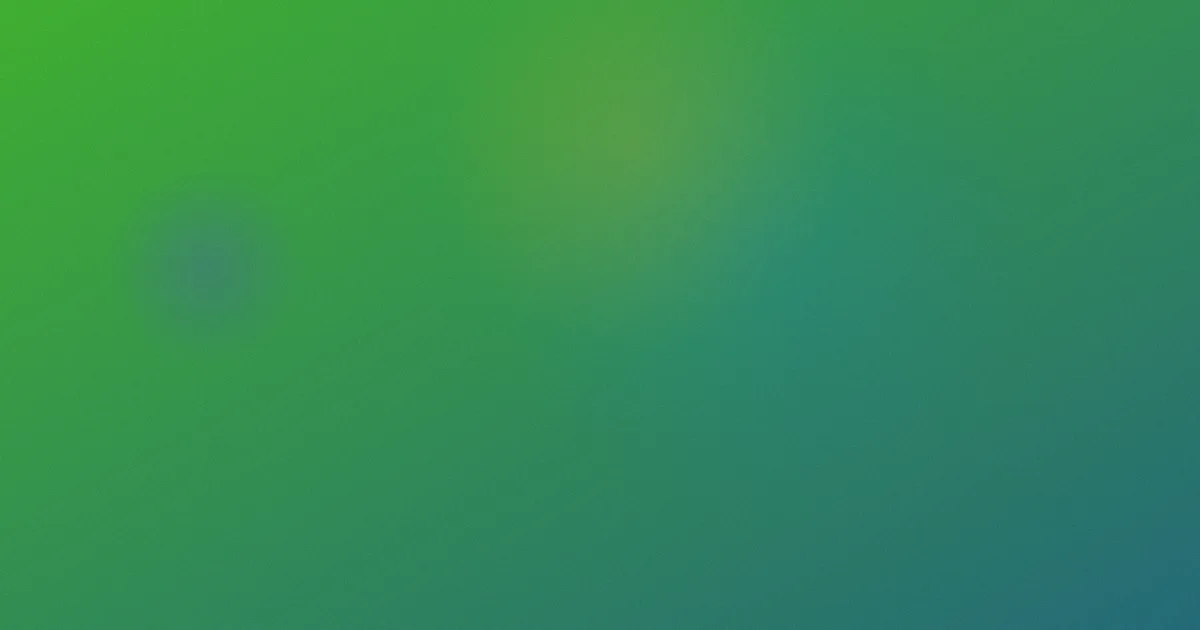 a一级视频攻略横向流程
